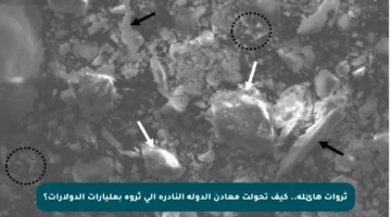 ثروات هائلة.. كيف تحولت معادن الدولة النادرة إلى ثروة بمليارات الدولارات؟